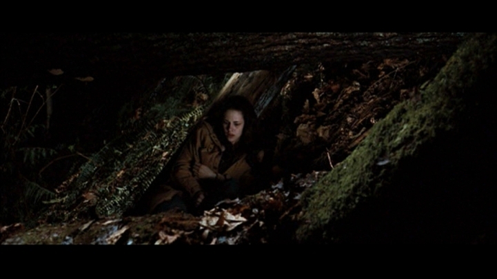 New Moon the movie -  11 Screencaps-of-Bella-in-the-woods-NewMoon-twilight-series-11063303-721-405