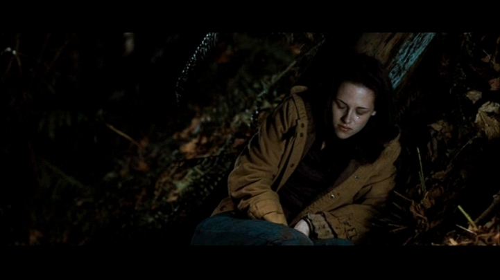 New Moon the movie -  11 Screencaps-of-Bella-in-the-woods-NewMoon-twilight-series-11063305-721-405