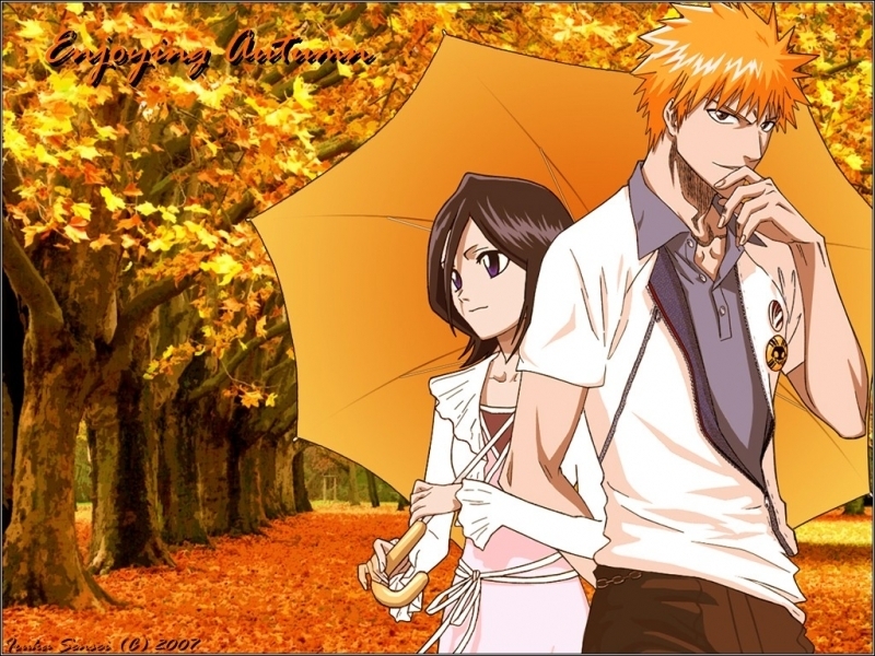 bleach anime Bleach-bleach-anime-is-amazing-11142042-800-600