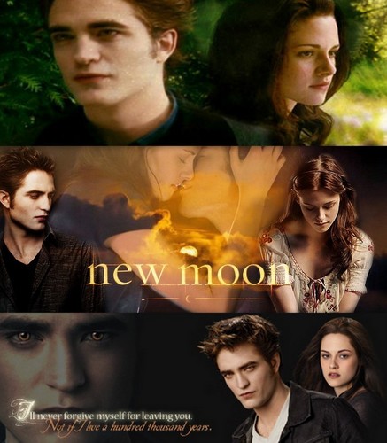 twilight ~~bella~~edward~~jackoup~~all New-moon-twilight-series-11512845-437-500