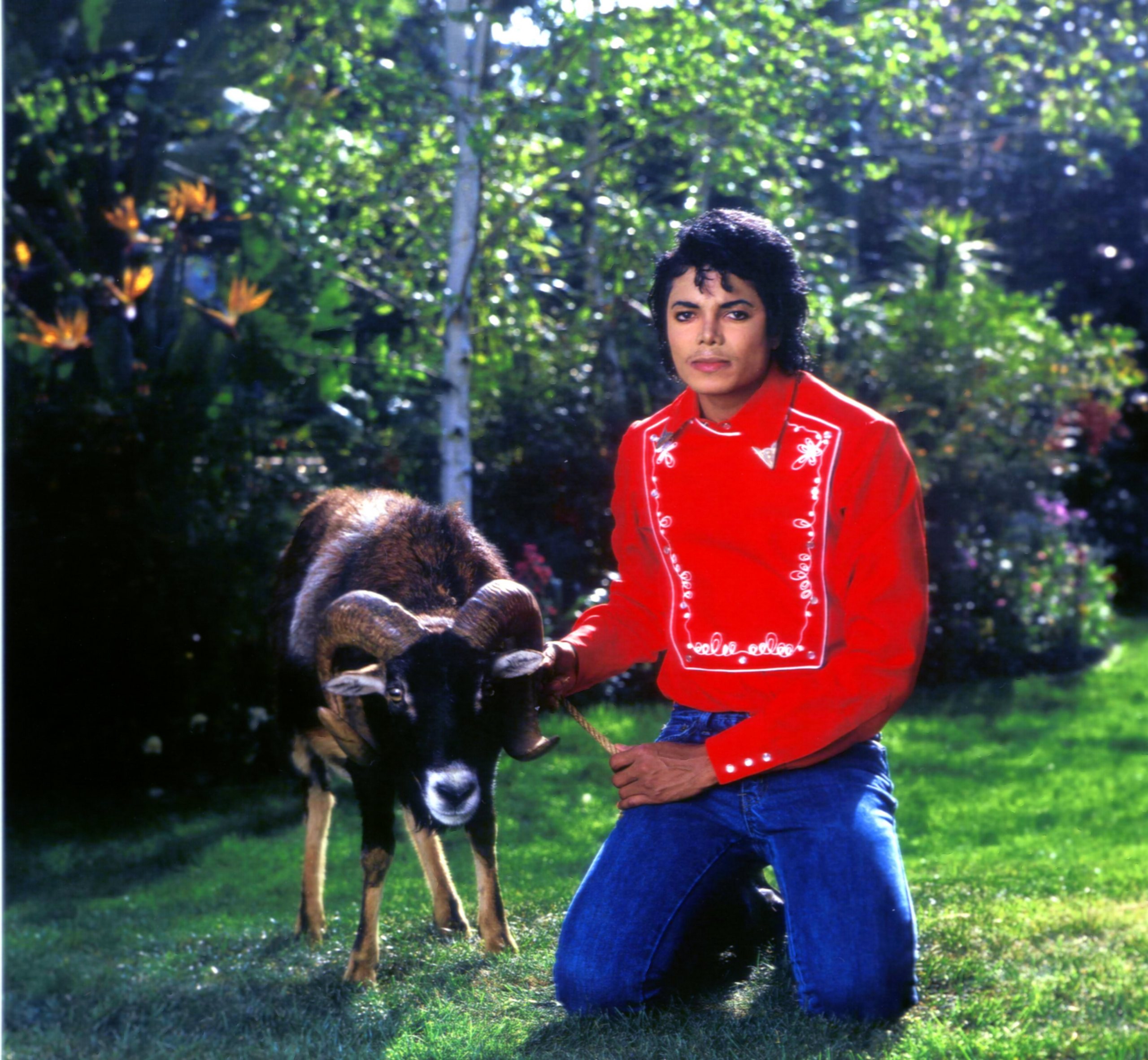 DIA DE LA TIERRA HOMENAJE PARA MIKE - Página 2 MJ-with-animals-michael-jackson-11640733-2560-2363