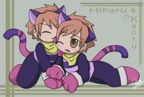 Postea la imagen 8) - Página 3 Hikaru-and-kaoru-animewuv-11791232-500-337