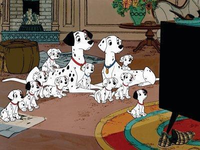 ===Un dia que pasará a la historia=== 101-dalmatians-movie-dogs-12849324-400-300