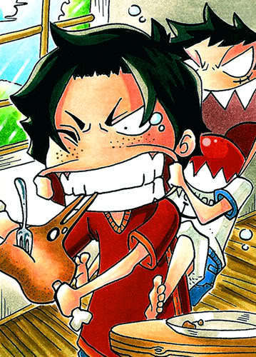 Ace & Luffy Luffy-and-Ace-one-piece-12883151-359-500