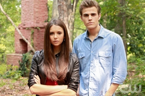 Cronicas Vampiricas The-VD-the-vampire-diaries-13483519-500-333