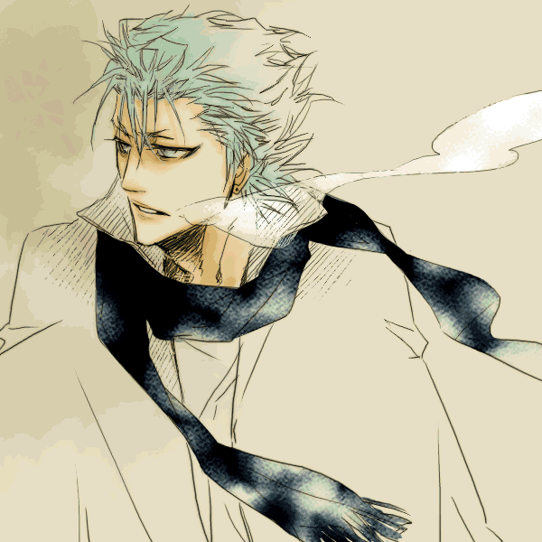 Ficha de Grimito Grimmjow-grimmjow-jeagerjaques-13582766-600-600