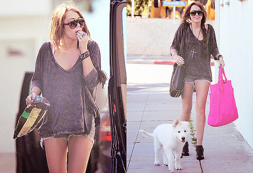    2010 Miley-Cyrus-miley-cyrus-13794519-500-343