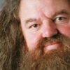 Les personnages de l'histoire Hagrid-rubeus-hagrid-13987786-100-100