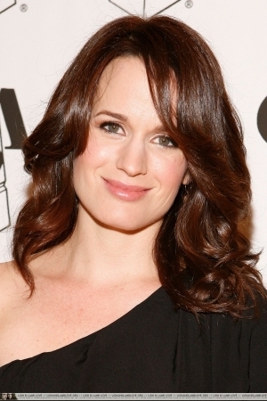 25th Annual Artios Awards 25th-Annual-Artios-Awards-elizabeth-reaser-8898304-300-450