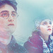 pic new for (( HP )) 2009 HP-harry-potter-9022650-75-75