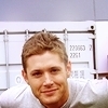 bee's links Jensen-jensen-ackles-9073817-100-100