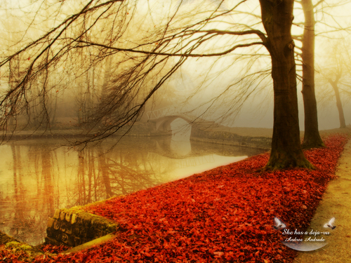 HOÀNG HÔN LẶNG LẺ Autumn-wallpaper-autumn-9444951-500-375