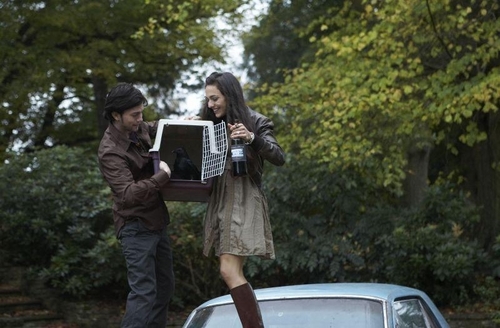 Jackson Rathbone NEW-STILLS-from-Jackson-s-new-movie-twilight-series-9439660-500-328