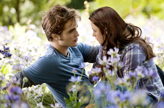 Saga Twilight Eclipse-Meadow-eclipse-movie-9579196-544-358