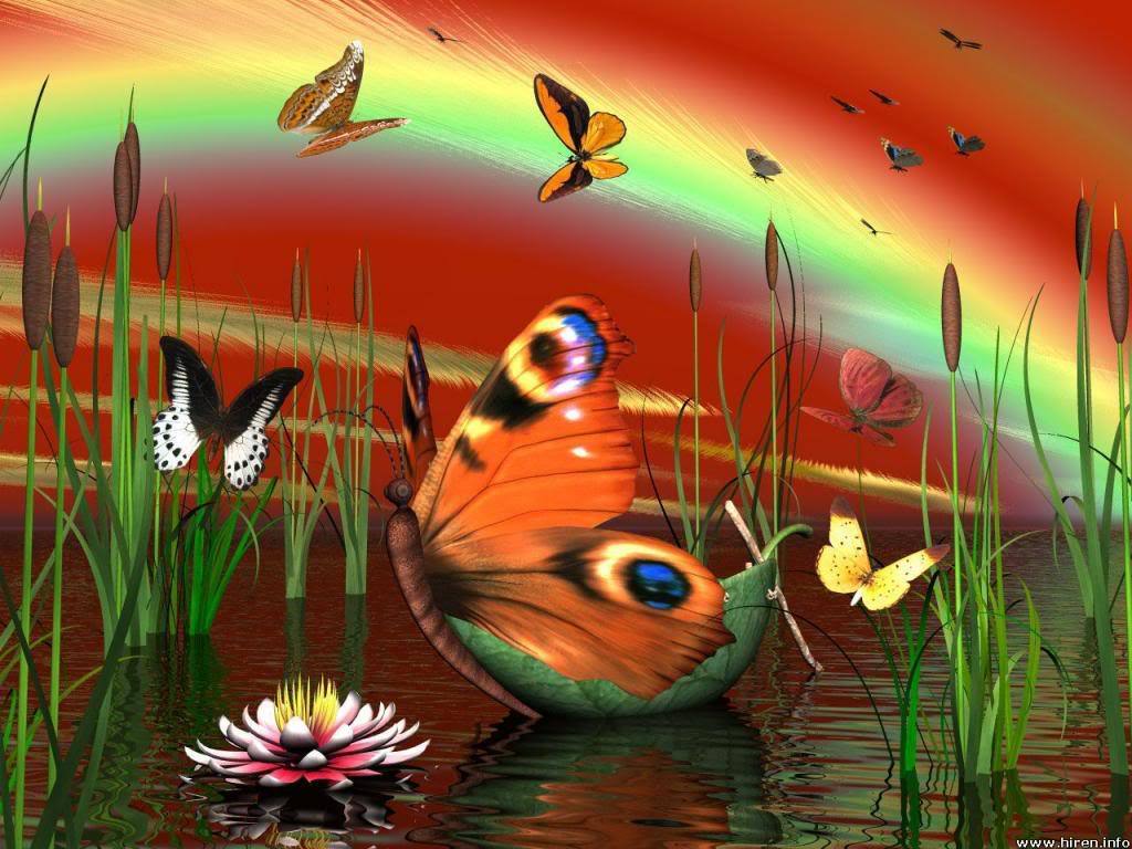 Butterfly Lake - butterflies wallpaper