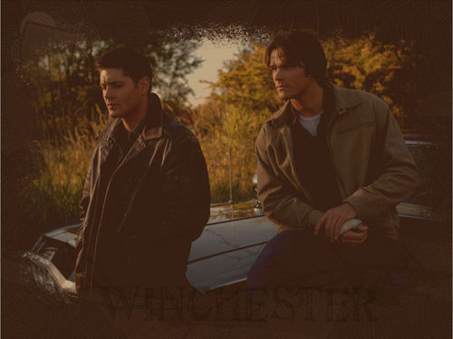 Dean Winchester/Jensen Ackles Brothers-Winchester-dean-winchester-2678334-500-375