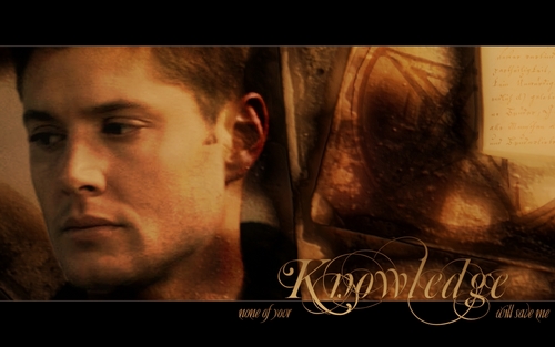 Dean Winchester/Jensen Ackles Dean-WP-dean-winchester-2838744-500-313