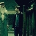 أكبــــر مكتبة صور مسن لدانيال .. Harry-Potter-and-the-Half-Blood-Prince-Icons-harry-potter-2834385-75-75