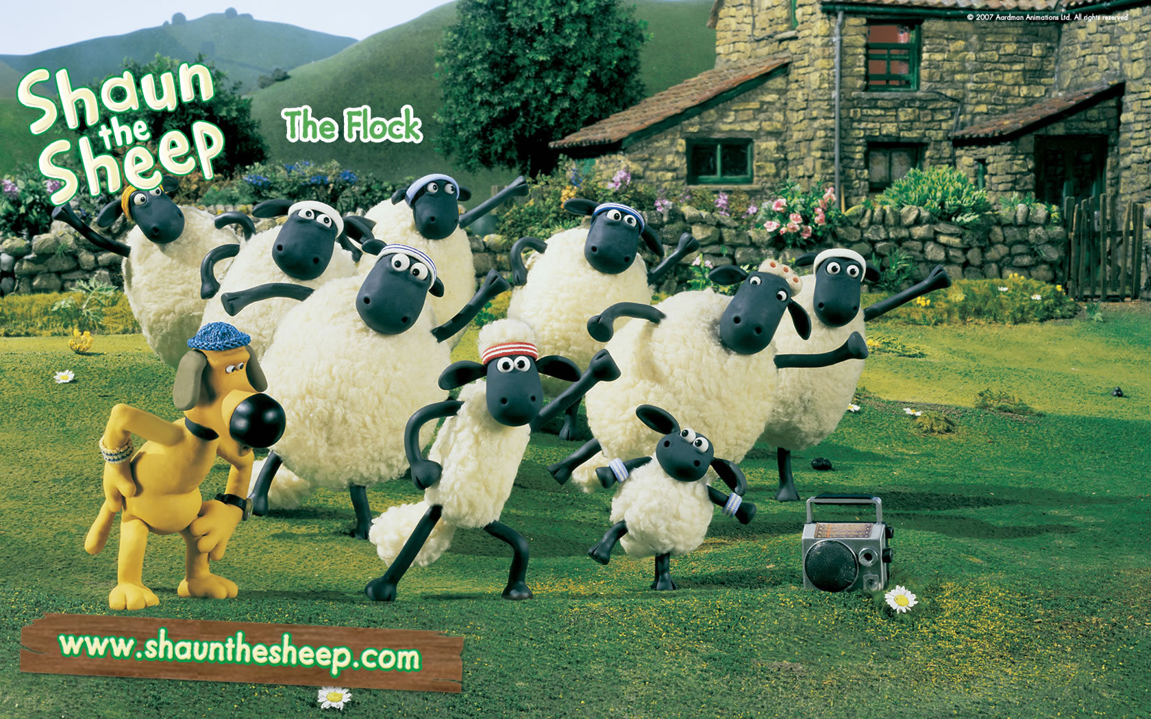 صور أنمي شان ذا شيب Shaun-the-sheep-shaun-the-sheep-2826701-1680-1050