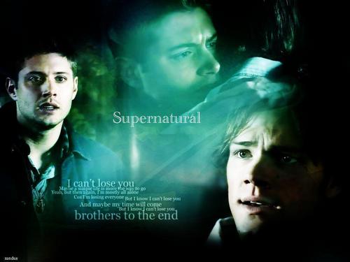 Dean Winchester/Jensen Ackles Brother-love-dean-winchester-3421262-500-375