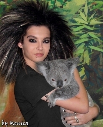 Official gallery Bill-koala-bill-and-tom-kaulitz-th-3752915-340-419