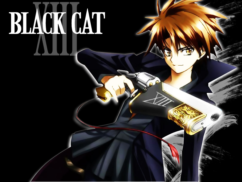 اكبر مكتبه لصور لـ black cat - صفحة 2 Black-Cat-black-cat-3786485-1024-768