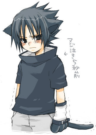 Quà cho fan của Sesuke nek` Sasuke-anime-animal-guys-3797979-324-456