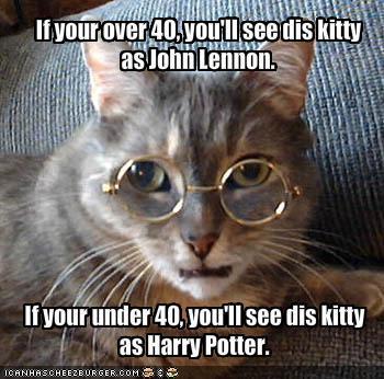 LivePD - Pets - Animals - Photo's -  Health - Discussion  - Page 2 DAMN-Cats-are-Funny-animal-humor-4133527-350-346