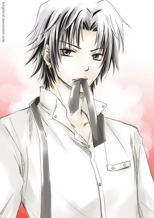 Armand Lestan TYL-Gokudera-katekyo-hitman-reborn-4186473-496-702