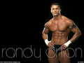 (حصرررررررررررررري) رمزيآت لكللل المصآرعين!!!!! Randy-Orton-randy-orton-4521521-120-90