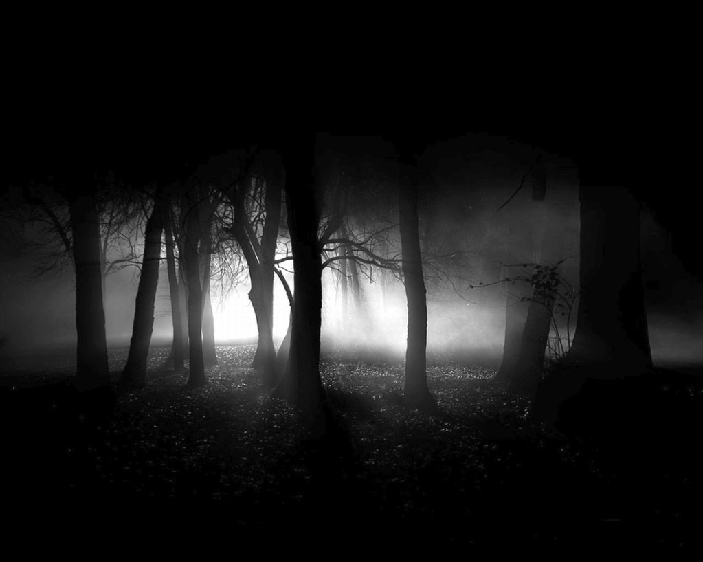 Salem Town Dark-Forest-the-dark-side-of-everything-5587682-1023-818