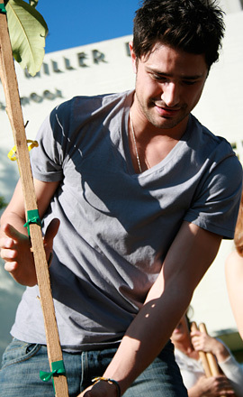 أحلى صور لآحلى Matt Dallas Matt-planting-a-tree-matt-dallas-5840360-270-440