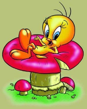 Tweety - Page 4 Tweety-Bird-tweety-bird-6460973-300-375