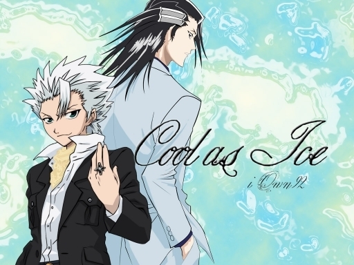 CAPITAN DE QUE ESCUCADRON TE GUSTARIA SER (BLEACH) - Página 2 Hitsugaya-toushirou-hitsugaya-6536553-512-384