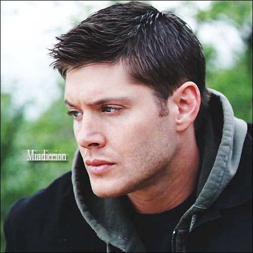 Дийн Уинчестър Jensen-jensen-ackles-6753245-500-500