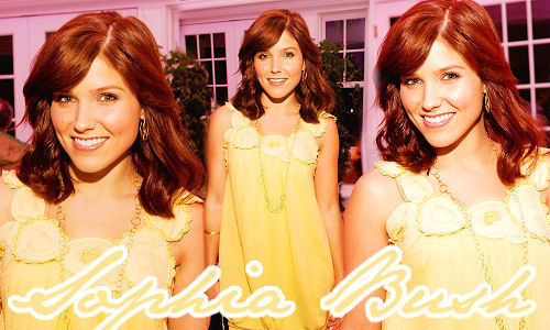 » Sophia • relationships Hurry Up ! Sophia-Bush-3-sophia-bush-6862071-500-300