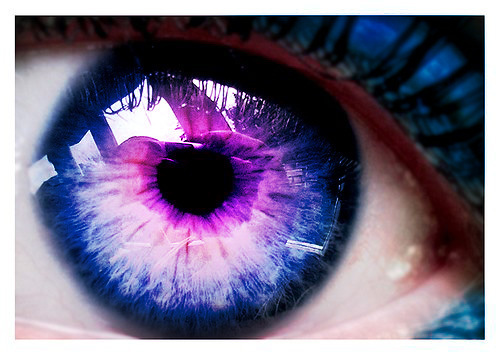 Images d'yeux Purple-eyes-eyes-7648017-500-355