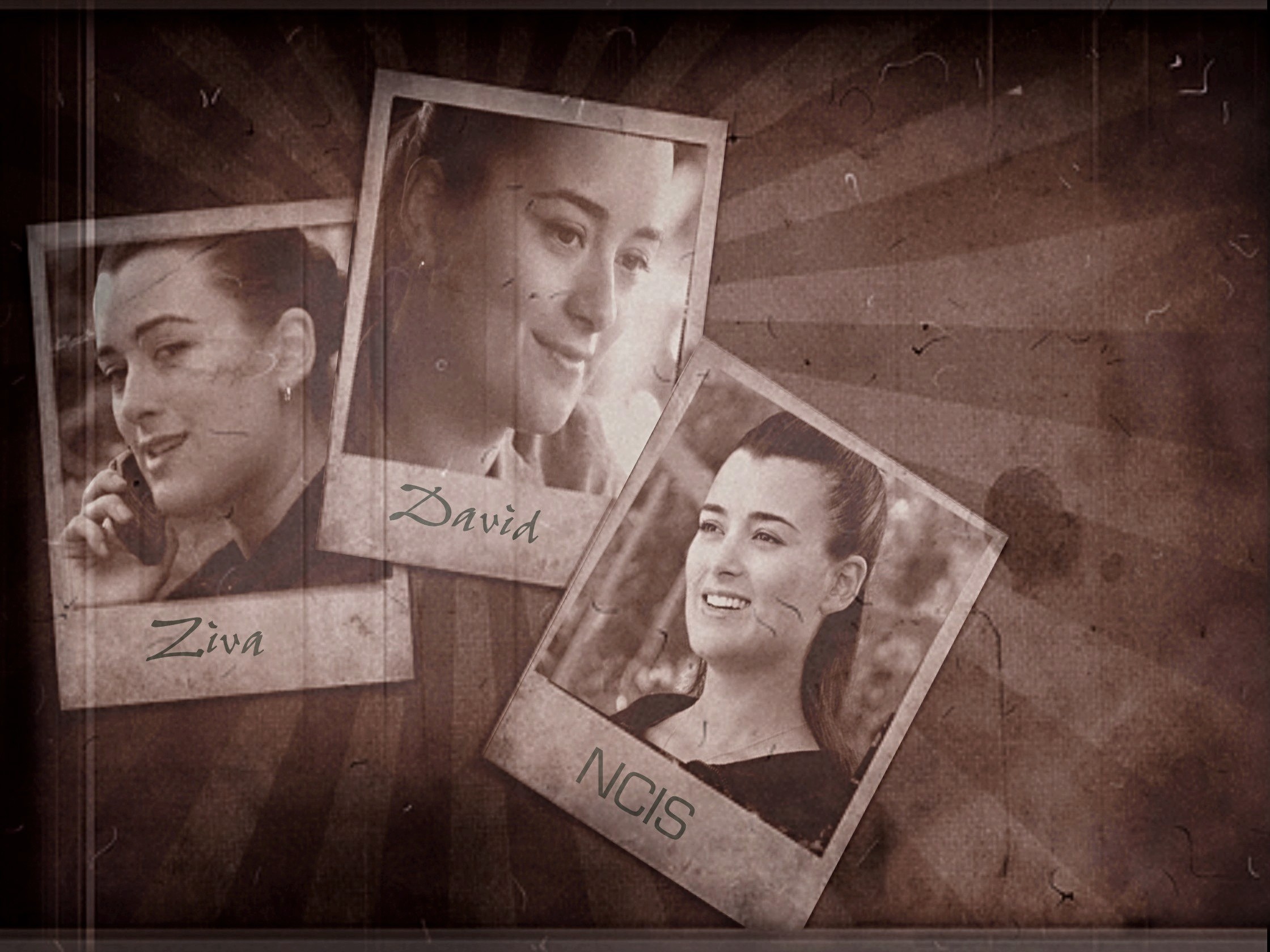 jeu des images - Page 8 Ziva-ncis-7836344-2240-1680