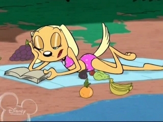 Снимки Brandy-brandy-and-mr-whiskers-7917030-320-240