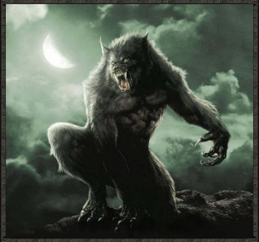 Vukodlaci Werewolves-werewolves-8012465-530-496