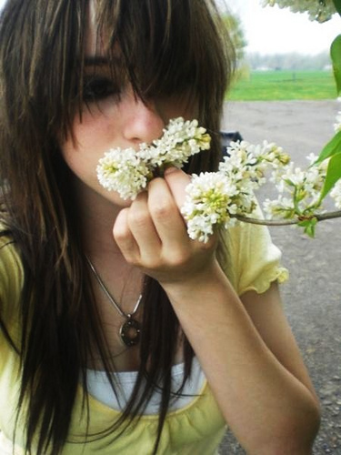 صور  ايمو coool  style بنات -Steph-emo-girls-8507675-375-500