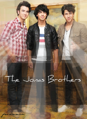 jonas brothers Jonas-Banner-the-jonas-brothers-8523857-369-500