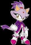 blaze the cat : data profile (NOT COMPLETE) COFblaze-464649_105_150