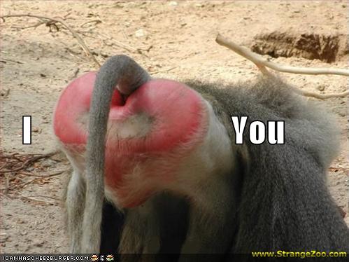 ONH - Post your Pics Please Funny-pictures-baboon-butt-heart