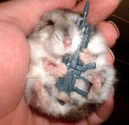 ¡Mascotas variadas! Hamster_with_gun