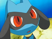 Nacimiento de Riolu EP540_Riolu_%282%29