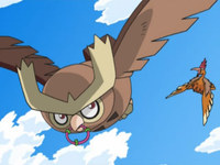 Palabras encadenadas EP587_Noctowl_vs_Fearow