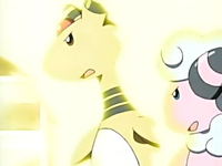 Youngster Albert EP425_Ampharos_y_Flaaffy_usando_rayo