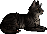 Die WindClan-Chroniken Halftail.elder