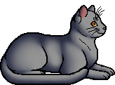 Die WindClan-Chroniken Smallear.elder